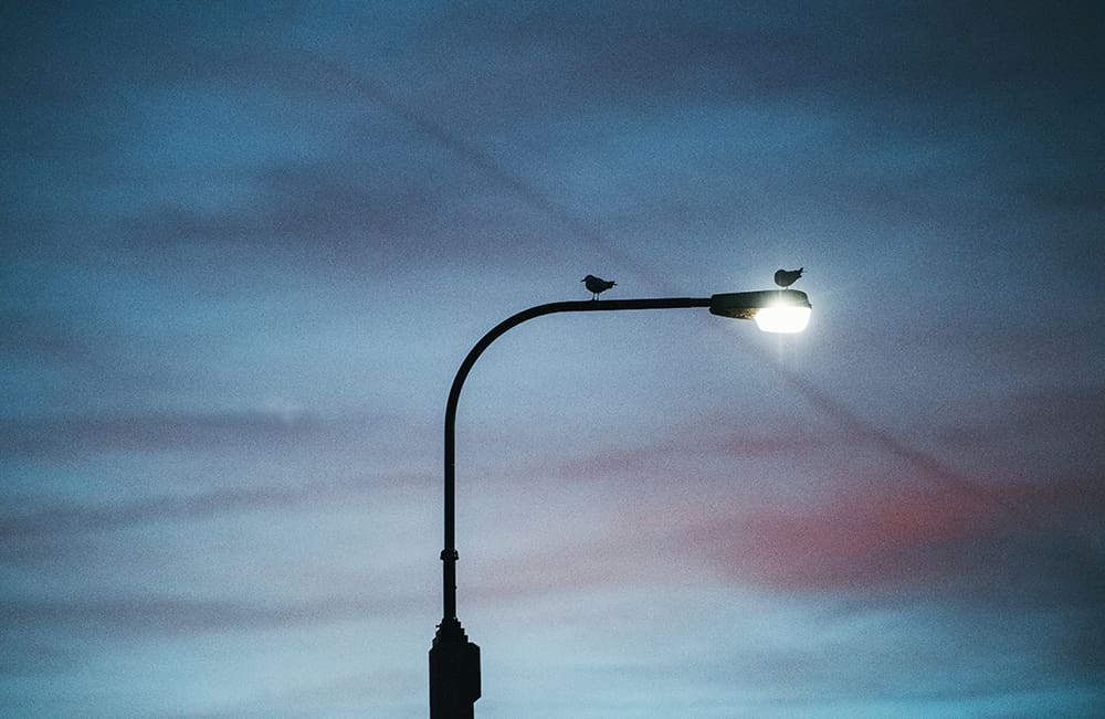 Street lights can be frangible structures in urban planning